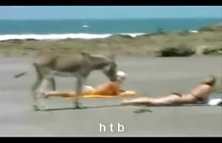 XXX xd'de ve kayıt cocuk seks indir olmadan telefondaki bölüm hd'den ücretsiz bir video indirmek