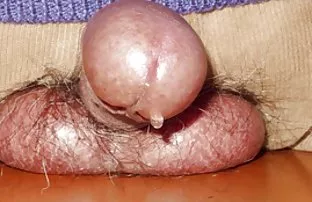 XXX bir video indirmek için - oynatıcıdaki borno seks indir 'indir' düğmesine tıklayın,